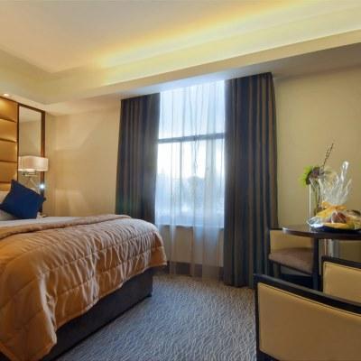 Park Grand Mayfair 5* Лондон